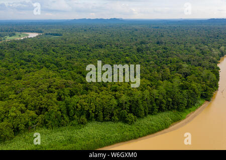 Aerial drone view of a long winding river through a tropical rain forest Stock Photo