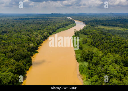Aerial drone view of a long, brown winding river through tropical rainforest (Kinabatangan River, Borneo) Stock Photo