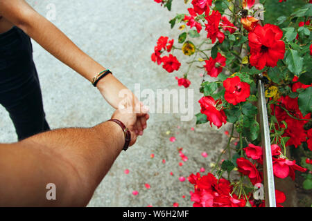Couple shaking hands next to some flowers. Stock Photo