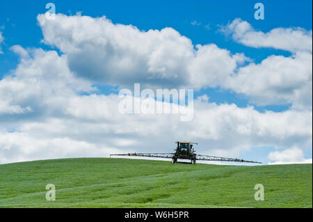 A high clearance sprayer applies a chemical application of fungicide to a flax field; Tiger Hills, Manitoba, Canada Stock Photo