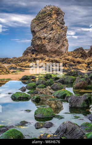 Sea Stack with rocks in tide pools at Marsden Bay off the North East coast of England; South Shields, Tyne and Wear, England Stock Photo