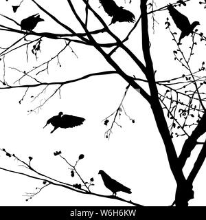 Background illustration with pigeons silhouettes in the trees, vector Stock Vector
