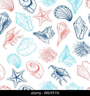 Seashells and starfish vector seamless pattern. Marine life creatures colorful drawings. Sea urchin freehand outline. Underwater animals engraving. Wa Stock Vector