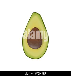 Avocado ripe raw halved fruit with seed. Persea americana exotic. Green peel. Juicy, isolated on white background Stock Vector