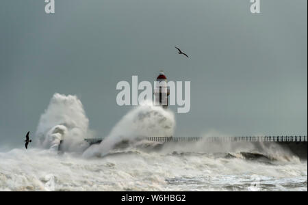 Roker Lighthouse and waves from the River Ware crashing onto the pier; Sunderland, Tyne and Wear, England Stock Photo