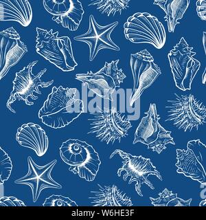 Seashells and starfish vector seamless pattern. Marine life creatures colorful drawings. Sea urchin freehand outline. Underwater animals engraving. Wa Stock Vector