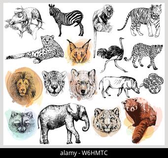 Big set of hand drawn sketch style wild animals isolated on white background. Vector illustration. Stock Vector