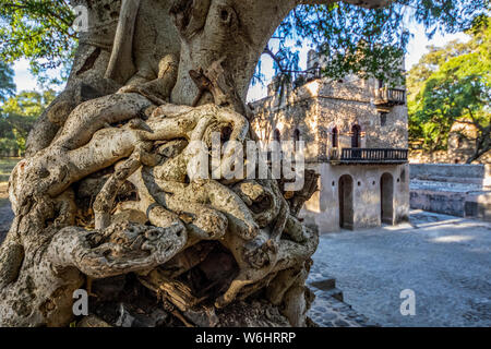 Three-storied bathing palace at Fasilides Bath with overgrown tree roots on a tree in the foreground; Gondar, Amhara Region, Ethiopia Stock Photo