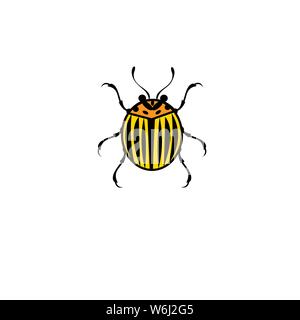 Vector symbol color colorado potato beetle isolated on white background. Beetle template for the design of the site advertising or poster. Stock Vector