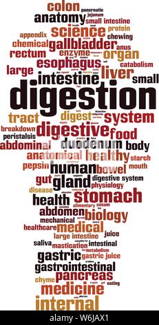 Digestion word cloud concept. Collage made of words about digestion. Vector illustration Stock Vector