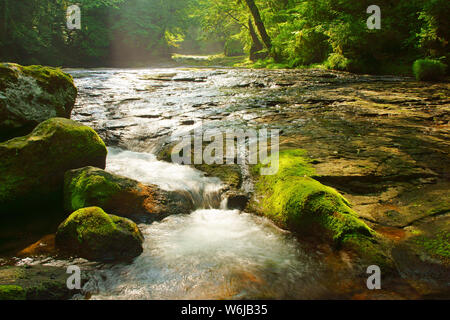 Fresh green Kikuchi Gorge, Kumamoto Prefecture, Japan Stock Photo