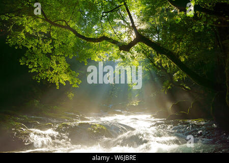 Kikuchi Gorge, Kumamoto Prefecture, Japan Stock Photo