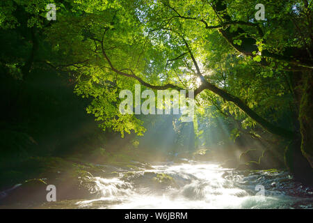 Kikuchi Gorge, Kumamoto Prefecture, Japan Stock Photo