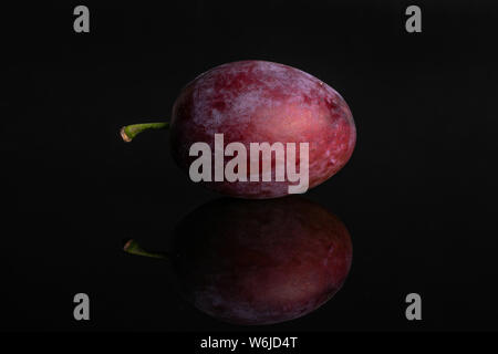 One whole fresh blue plum isolated on black glass Stock Photo