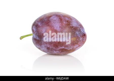 One whole fresh blue plum isolated on white background Stock Photo