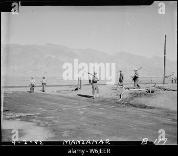 Manzanar Relocation Center, Manzanar, California. Evacuees are shown returning to the center for lu . . .; Scope and content:  The full caption for this photograph reads: Manzanar Relocation Center, Manzanar, California. Evacuees are shown returning to the center for lunch after clearing the land of brush and weeds around the boundary of this War Relocation Authority center. Army Military Police guard these boundaries. Stock Photo