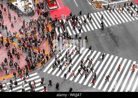 Shibuya crossing, crowds at intersection, many pedestrians cross zebra crossing, Shibuya, Udagawacho, Tokyo, Japan Stock Photo