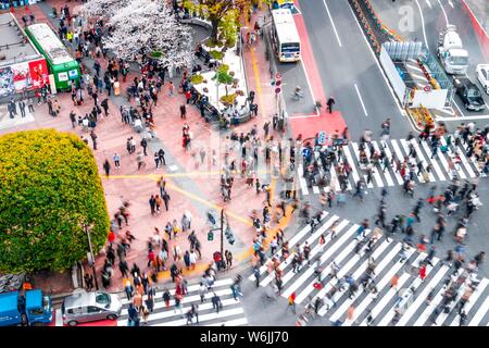 Shibuya crossing, crowds at intersection, many pedestrians cross zebra crossing, blurred, motion, Shibuya, Udagawacho, Tokyo, Japan Stock Photo