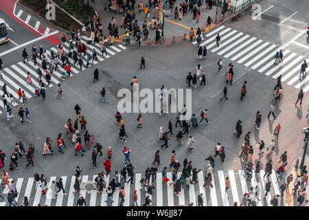 Shibuya crossing, crowds at intersection, many pedestrians cross zebra crossing, Shibuya, Udagawacho, Tokyo, Japan Stock Photo