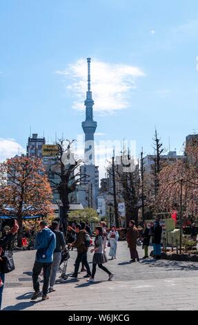 Pedestrians in a pedestrian street, rear skyscrapers and the Tokyo Skytree, Asakusa, Tokyo, Japan Stock Photo