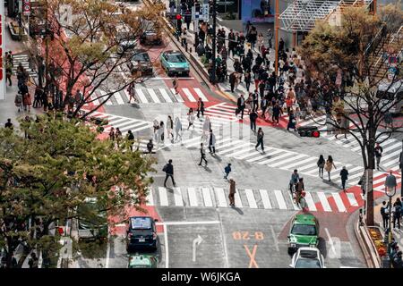 Crossing from above, crowds of people crossing zebra crossings at crossing, Bunkamura-Dori, Shibuya, Udagawacho, Tokyo, Japan Stock Photo