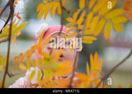 Little girl in the autumn park Stock Photo