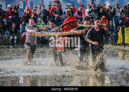 Chinese villagers of the Hakka people carrying a golden statue of ancient Chinese general Guan Gong dash through waterlogged fields during a mud-spatt Stock Photo