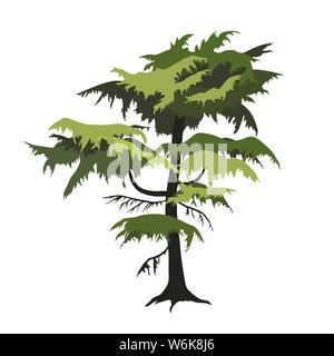 Conifer tree in flat style isolated on white background. Vector illustration. Drawn cartoon style Stock Vector