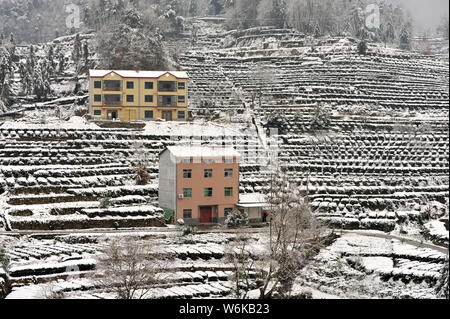 A tea plantation is covered with snow after a heavy snowstorm in Zigui county, Yichang city, central China's Hubei province, 7 January 2018.   Snow ha Stock Photo