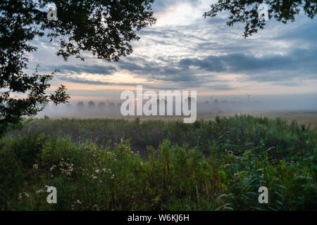 in the morning light fog on the  fields Stock Photo