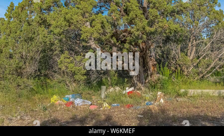 Panorama Rocks beneath tall lush tress against vibrant blue sky on a sunny day Stock Photo