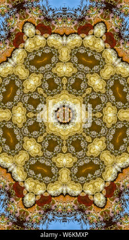 Abstract angular field of flowers in circular arrangement at wedding in ...