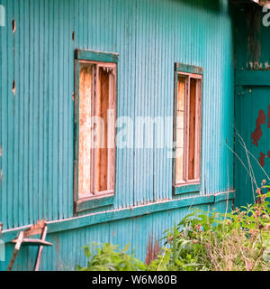 Square frame Exterior of shed in the forest with damaged roof and peeling green paint on wall Stock Photo