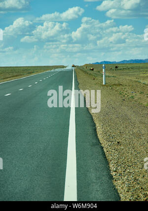 Road in Gobi Desert. Huysiyn govi, Mongolia Stock Photo