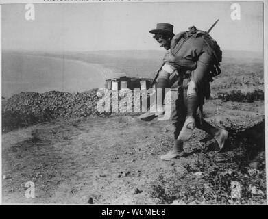 The irrepressible Australians at Anzac. An Australian bringing in a wounded comrade to hospital. Dardanelles Campaign, circa 1915., ca. 1919 - ca. 1919; General notes:  Use War and Conflict Number 664 when ordering a reproduction or requesting information about this image. Stock Photo