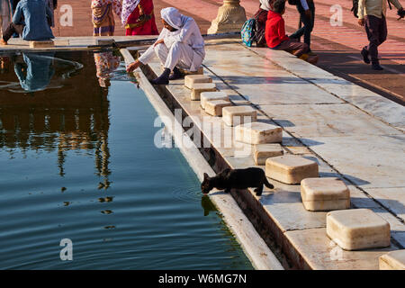 India, Delhi, Old Delhi, Jama Masjid mosque build by Shah Jahan, the moghol emperor Stock Photo