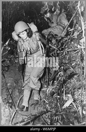 Two United States nurses carry heavy combat packs on a eight-mile hike through the jungle of the India-Burma border area as part of their training before taking up front-line was assignments. Before reporting for duty the American nurses learn how to combat jungle hazards and how to care both for themselves and their patients under all conditions. Stock Photo