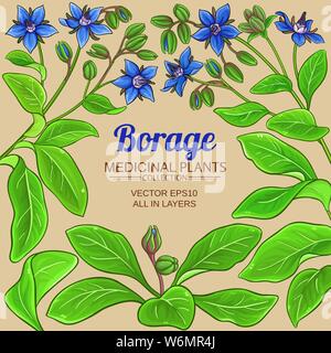 borage vector frame on color background Stock Vector