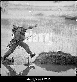 Vietnam....A Marine rifleman with Company H, 2nd Battalion, 5th Marines, Leaps across a break in a rice paddy dike during a search and destroy mission on Operation Colorado. Stock Photo