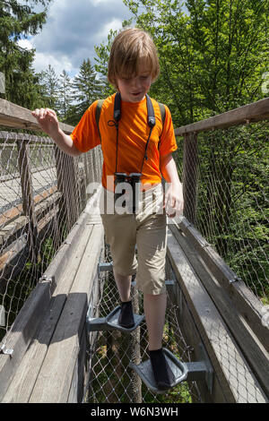 boy trying an experience station of the tree-top walk, Neuschönau, National Park, Bayerischer Wald, Bavaria, Germany Stock Photo