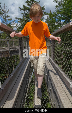 boy trying an experience station of the tree-top walk, Neuschönau, National Park, Bayerischer Wald, Bavaria, Germany Stock Photo