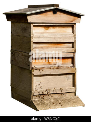 A cut out of a bee hive and bees on a white background Stock Photo