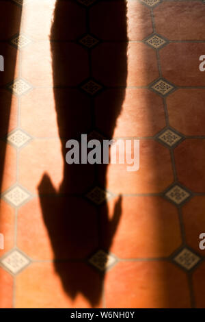 A shadow of a Miniature Wirehaired Dachshund dog