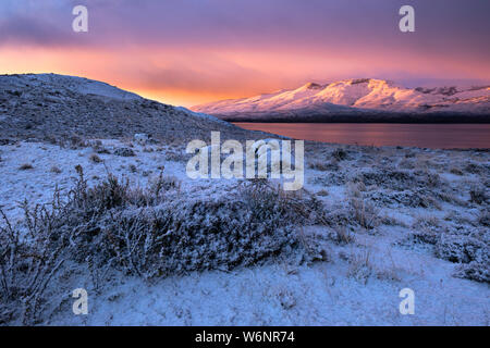 Pink sunrise in Torres del Paine National Park, Chile, during the winter. Stock Photo