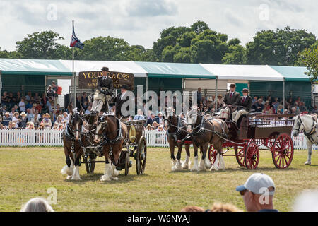 New Forest and Hampshire County Show 2019 - The Heavy Horse Musical Parade taking place in the main arena Stock Photo