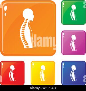 Human spine set color collection Stock Vector Image & Art - Alamy