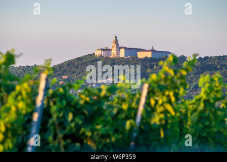 Pannonhalma Archabbey with vine grapes in the vineyard, Hungary. Beautiful vineyard landscape with blue sky in summer. Pannonhalma Wine Region. Stock Photo