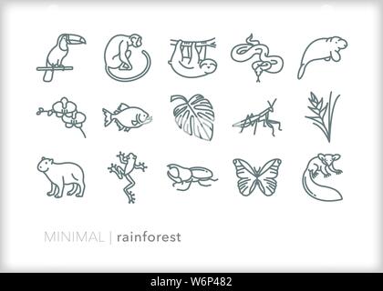 Set of 15 rain forest animal, bug and plant icons Stock Vector