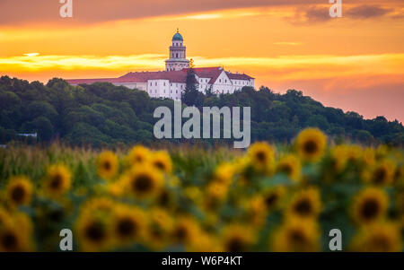 Pannonhalma Archabbey with sunflowers field at sunset time in Hungary. Beautiful sunset on the sunflower farmfield. Stock Photo
