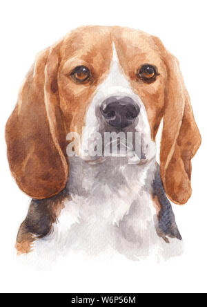Water colour painting of a naughty dog Named Beagle 058 Stock Photo
